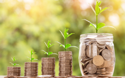 What Happens When You Treat Money Like It Wants to Grow?